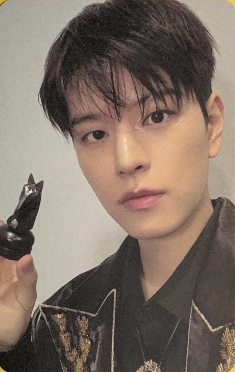 Seungmin Stray Kids photocard from Photocard Set