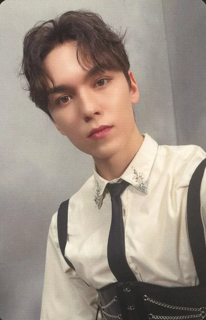 Vernon SEVENTEEN photocard - 消費期限 Photocard