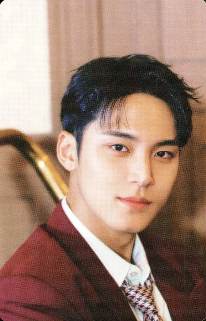 Mingyu SEVENTEEN photocard - SPILL THE FEELS Booklet (Random Member set)