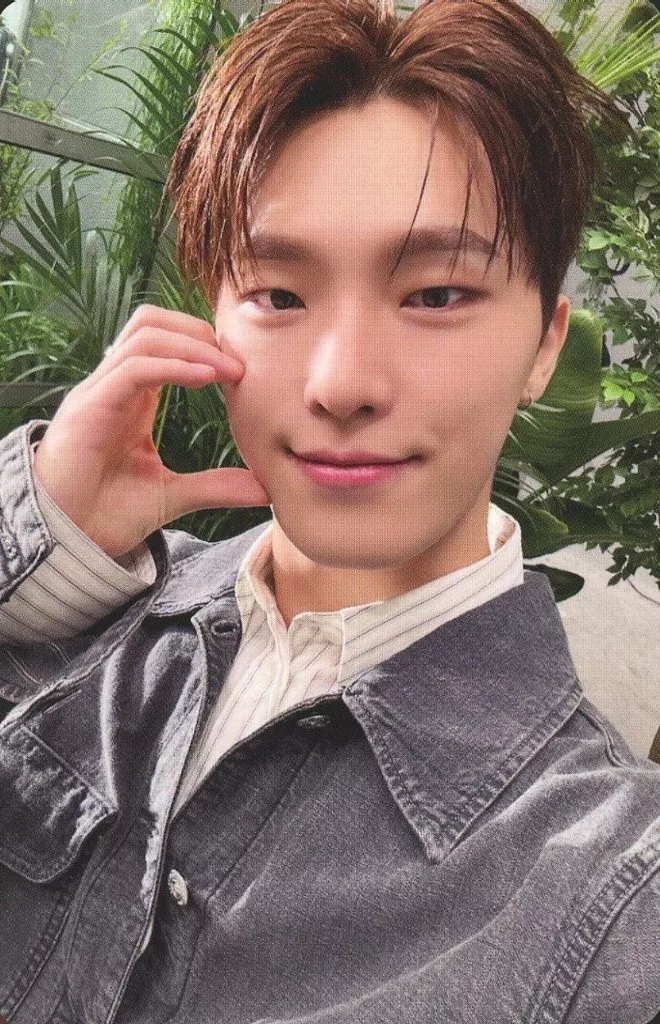 Dino SEVENTEEN photocard - 消費期限 Selfie Photocard B