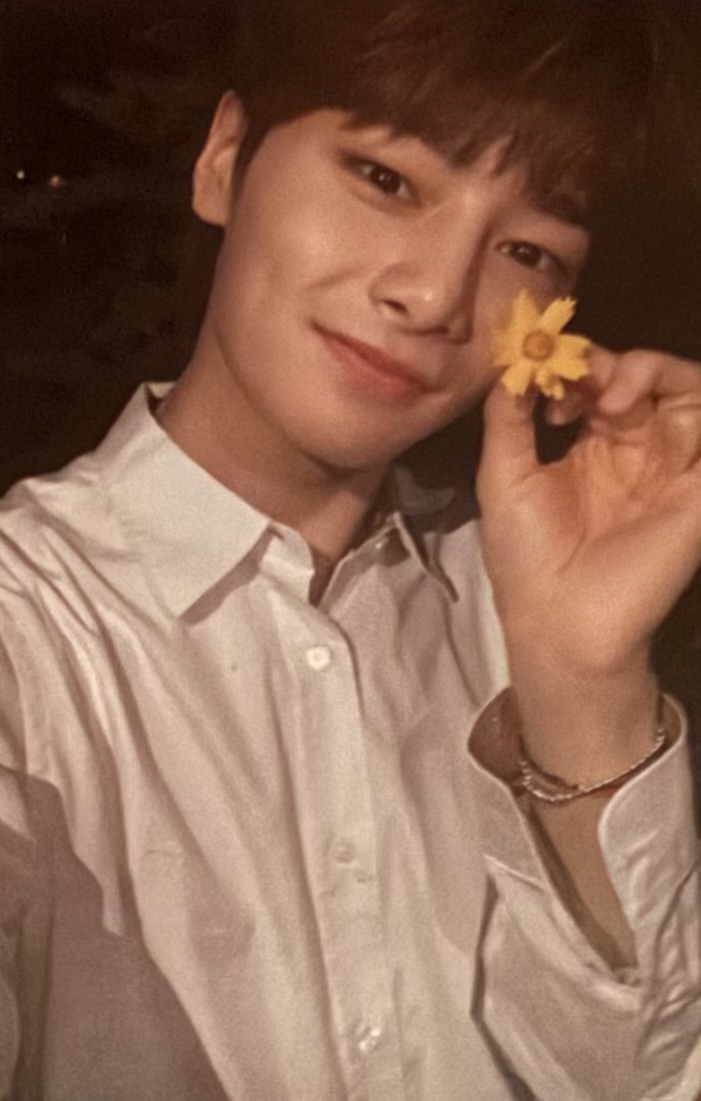 I.N Stray Kids photocard from Limited ver. Set