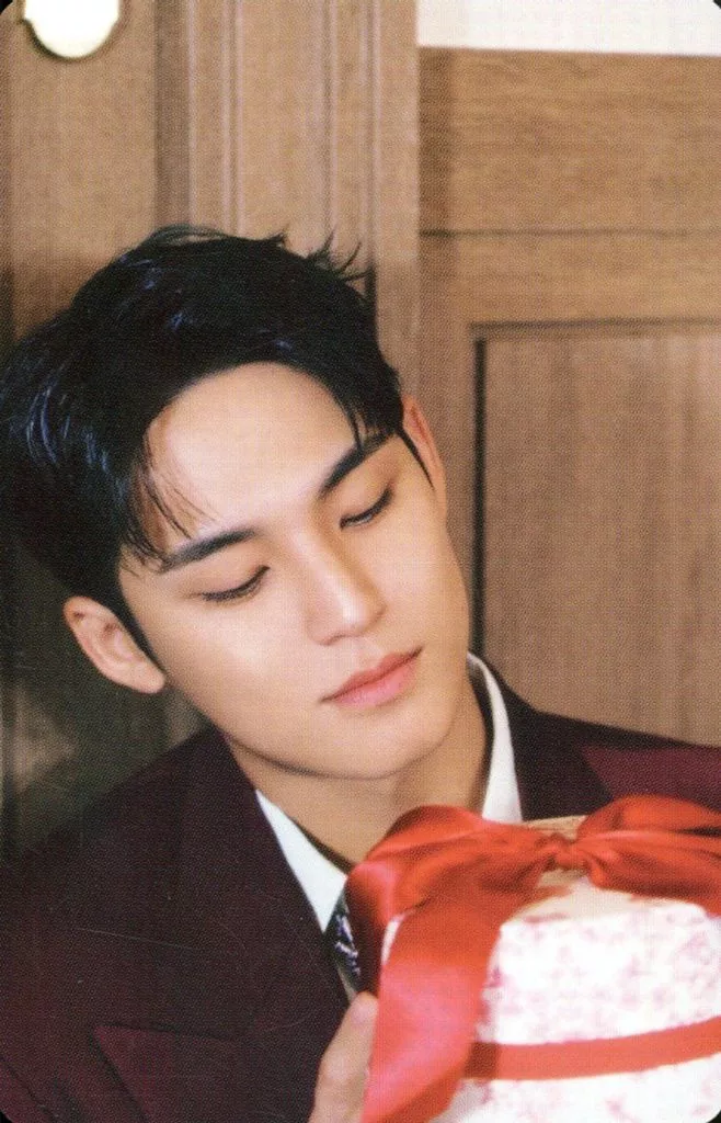 Mingyu SEVENTEEN photocard - SPILL THE FEELS Booklet (Random Member set)
