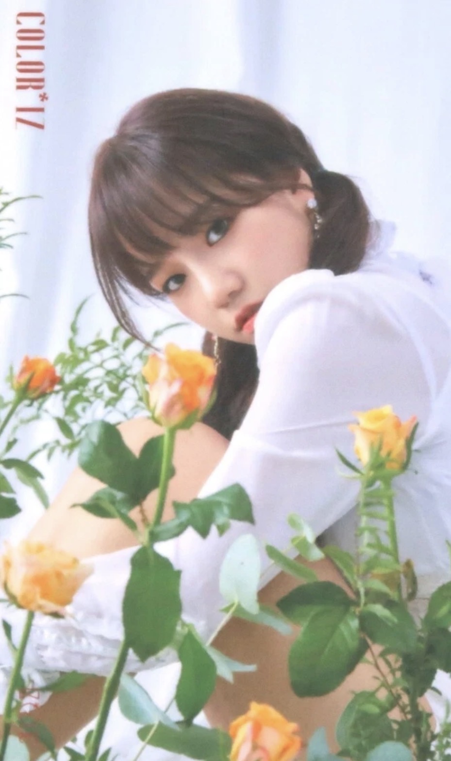 Rose Version Photocard