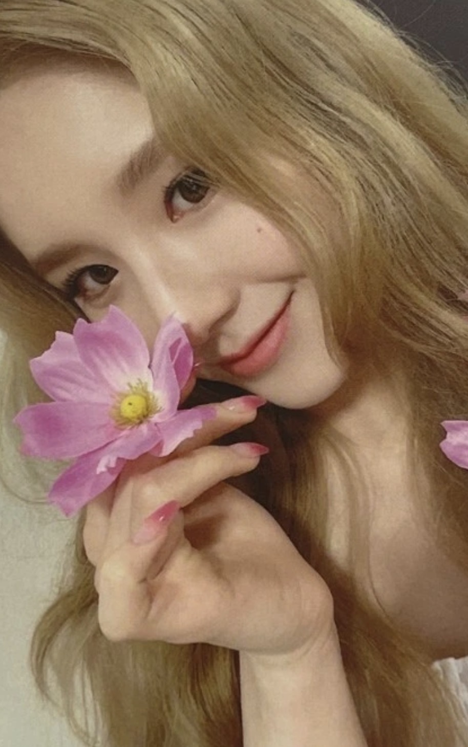Photocard