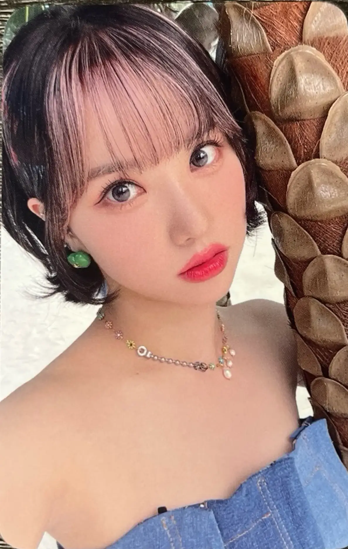 Hello82 1.0 Preorder