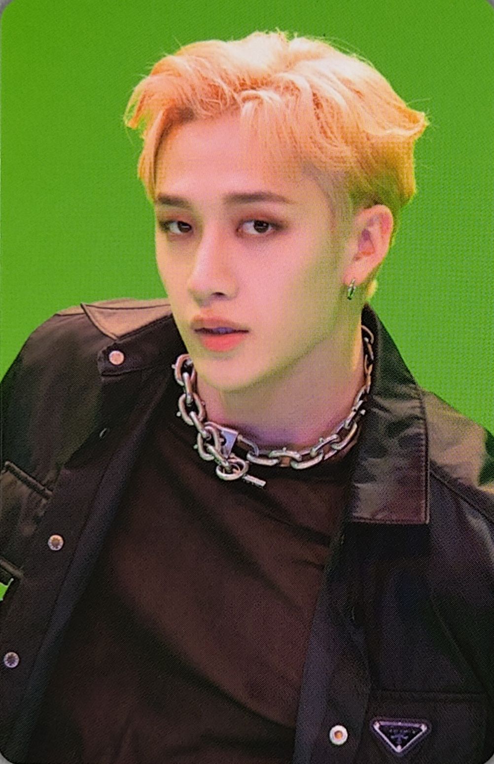 Dicon D'Festa Photocard