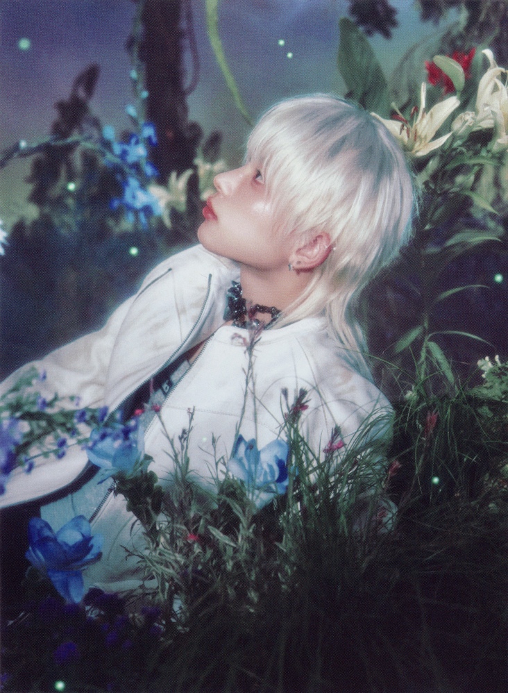 Postcard Set