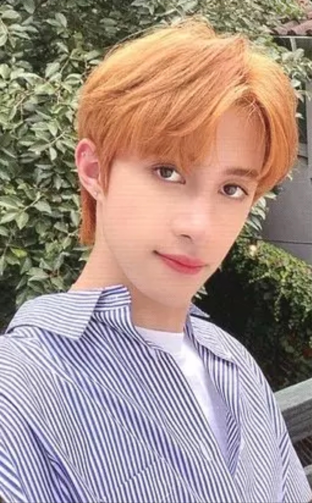 Photocard