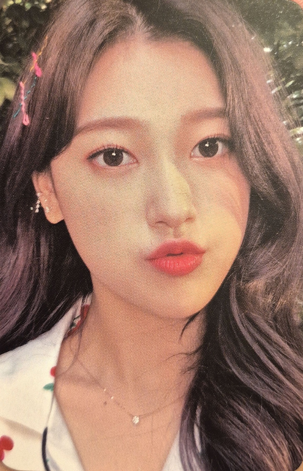 Choerry
