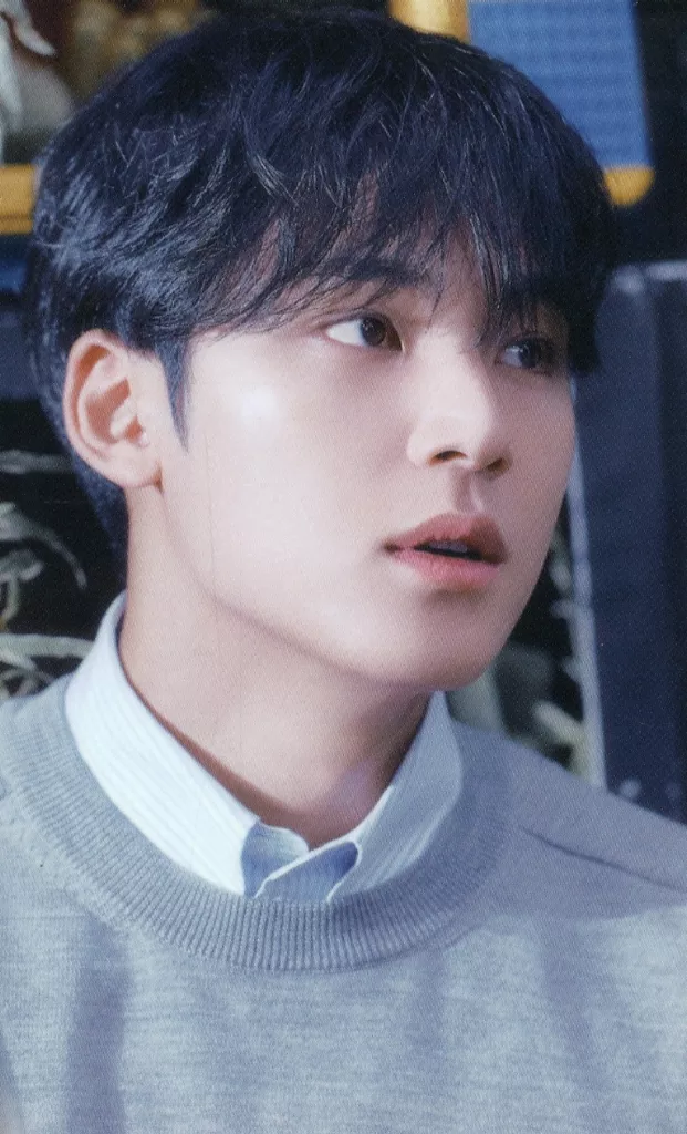 Mingyu SEVENTEEN photocard from Preorder