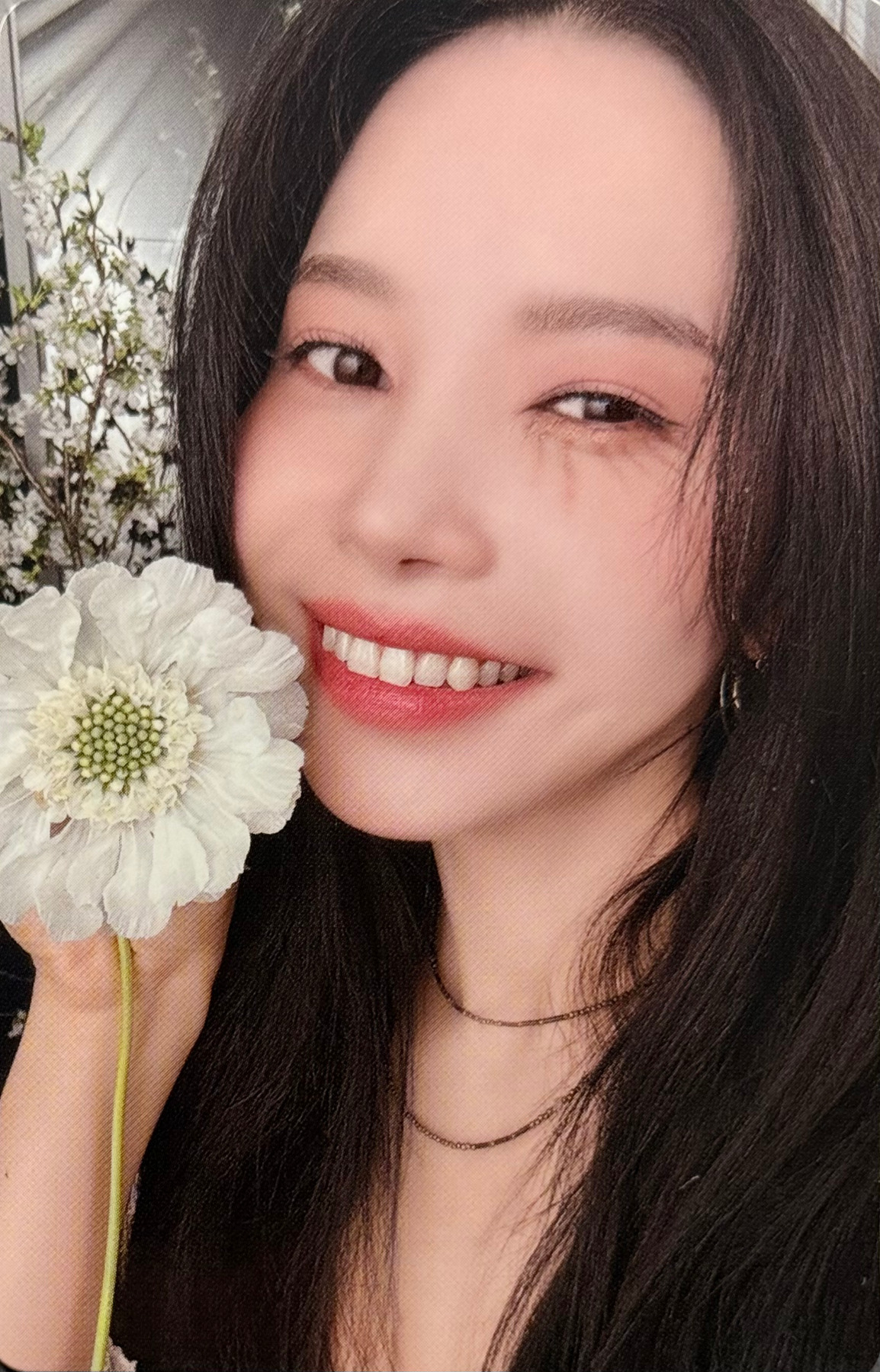 Solar photocard