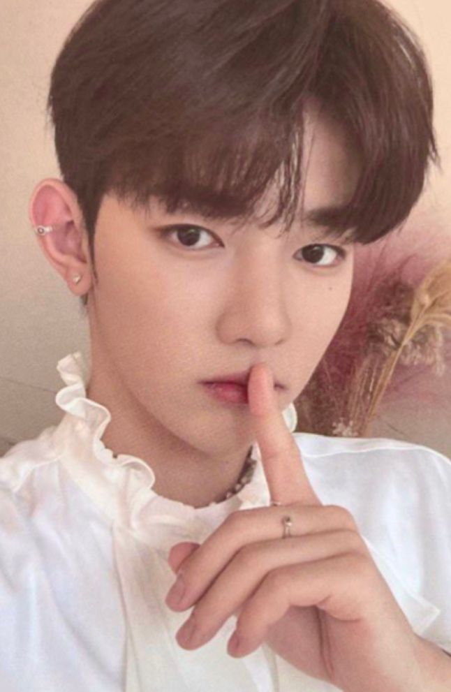 Broadcast SBS Inkigayo -  3rd Week