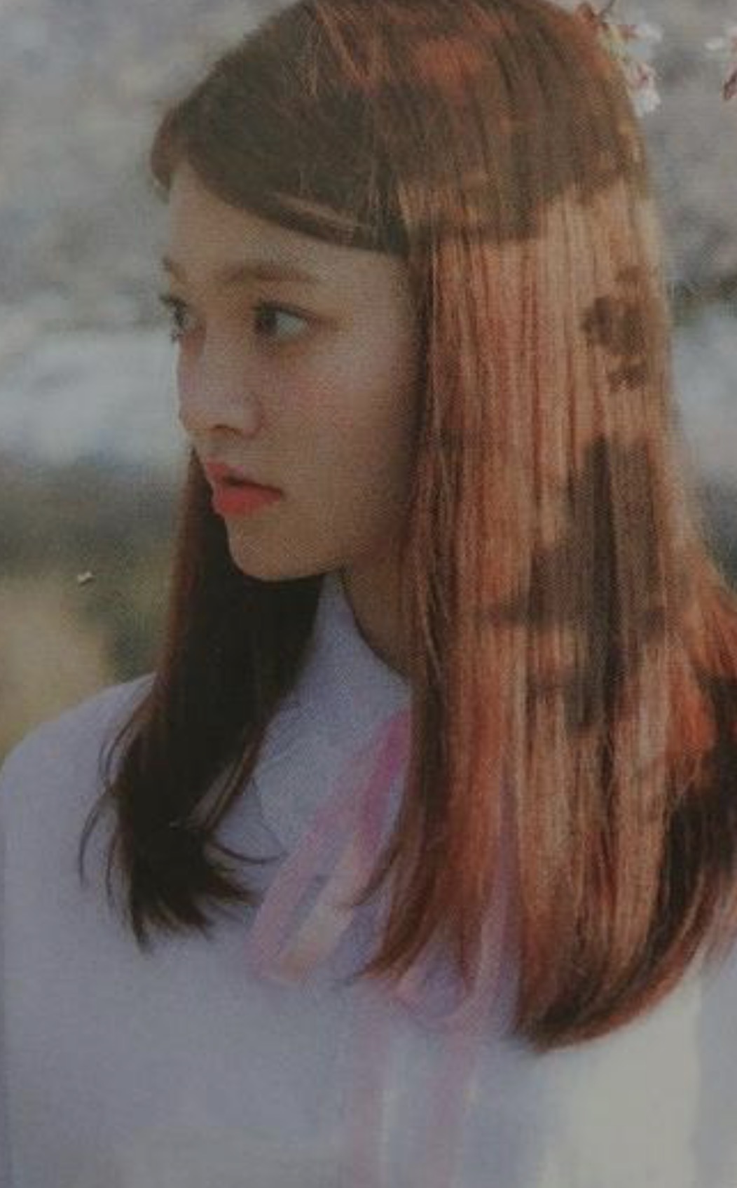 Flower concept photocard