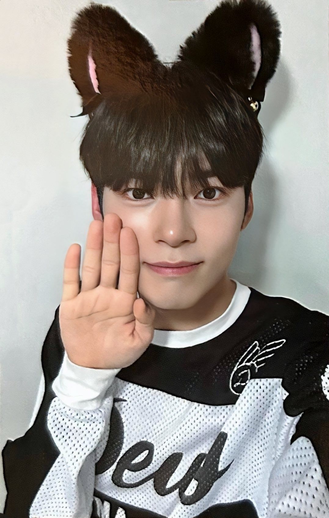 Makestar 1.0 Cat Ver. Preorder