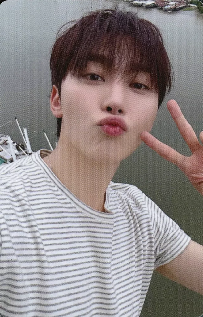 Seungkwan SEVENTEEN photocard - SPILL THE FEELS Photocard