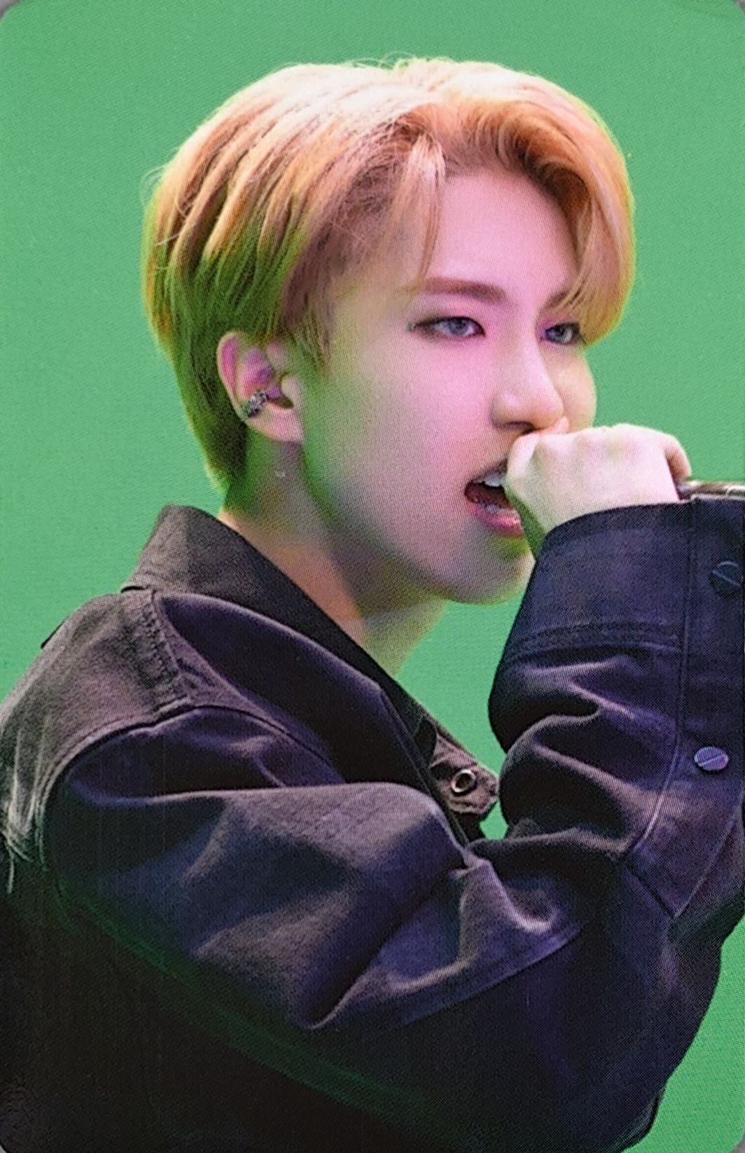 Dicon D'Festa Photocard