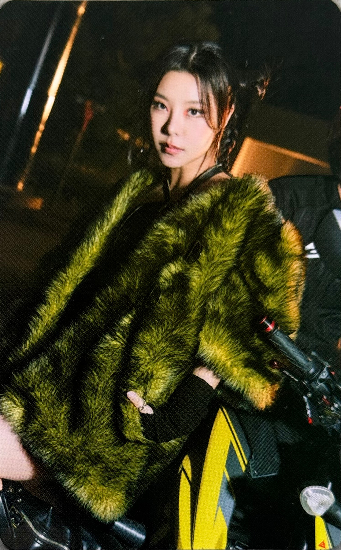 Jacket Card