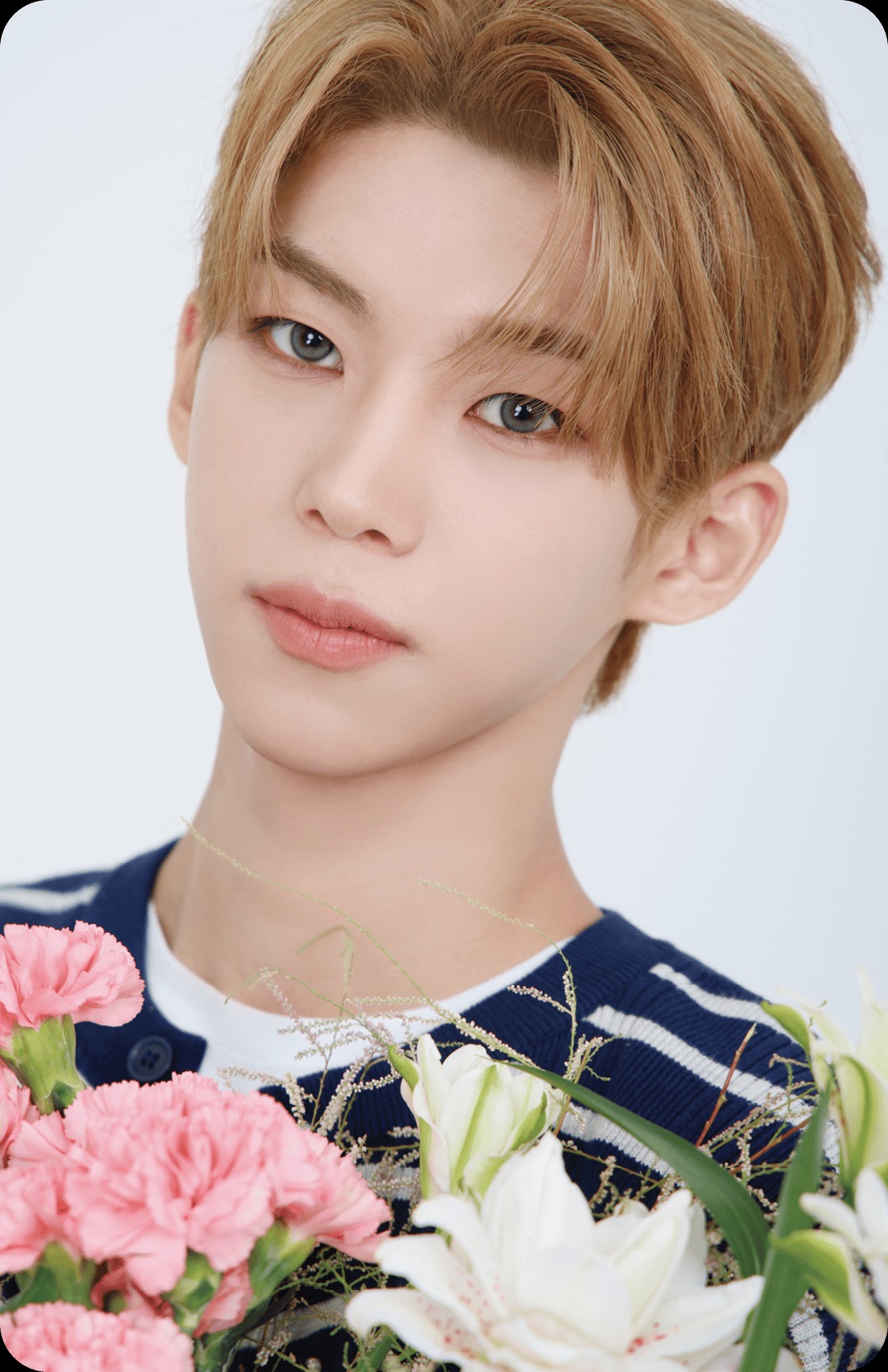Kim DoHun idntt photocard - unevermet Event Objekt