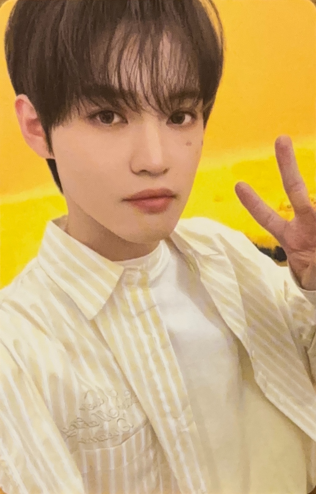 2026 Season's Greetings Photocard set