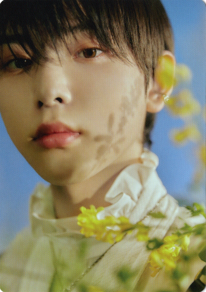 &Audition - The Howling Photocards