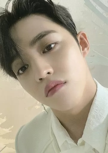 S.coups SEVENTEEN photocard - あいのちから (Power of Love) Trading Cards