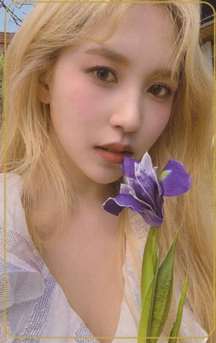 Photocard