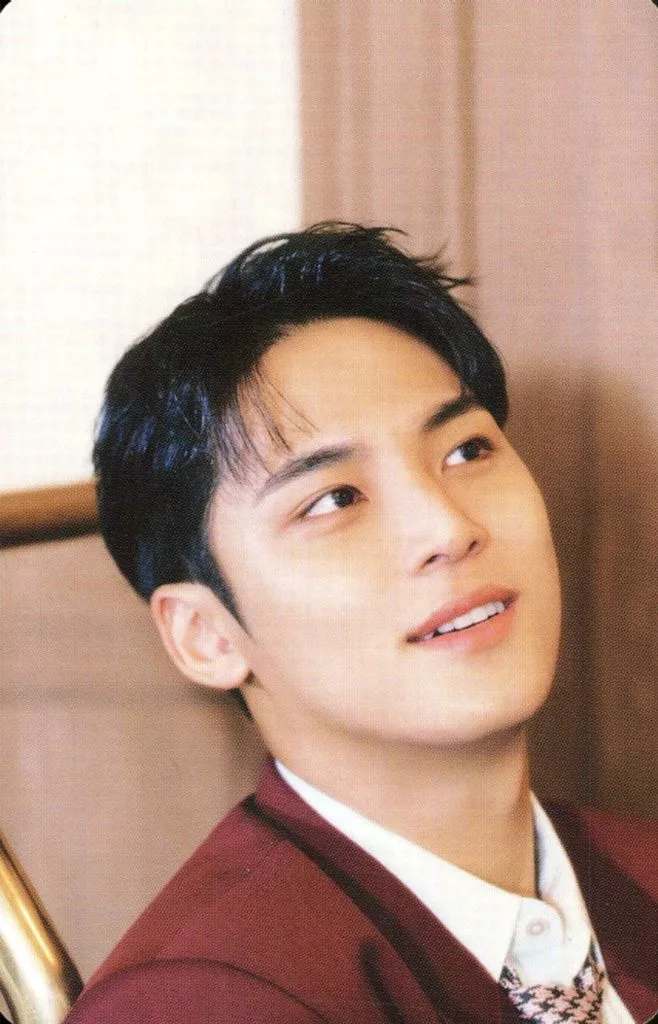 Mingyu SEVENTEEN photocard - SPILL THE FEELS Booklet (Random Member set)