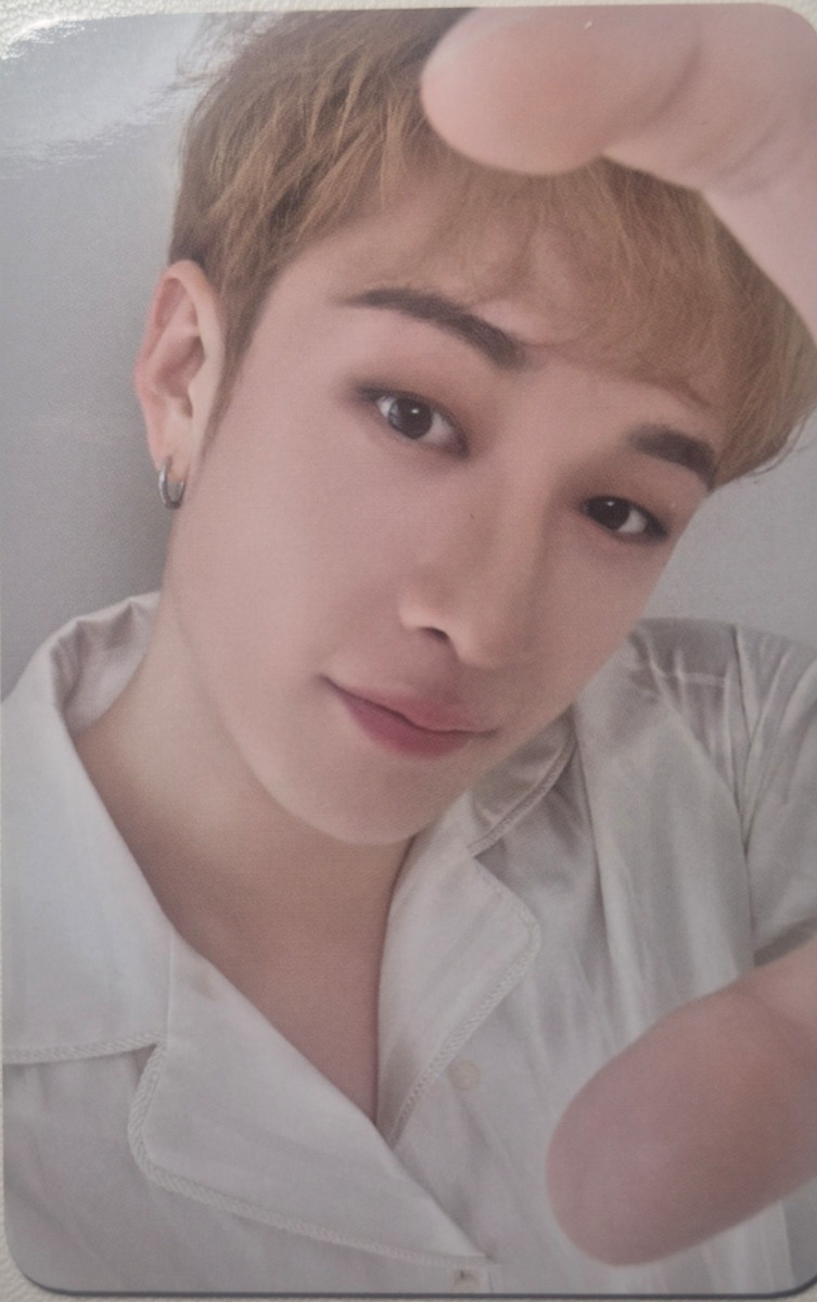 2024 Season's Greetings - Perfect Day with SKZ Selfie Photocard Set