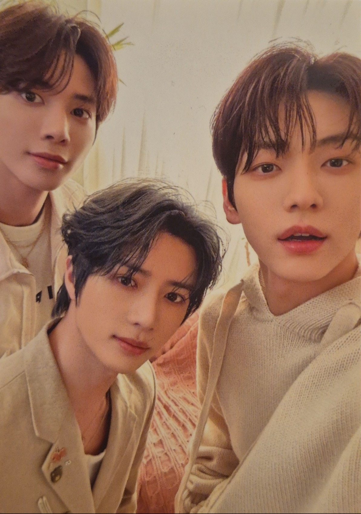 5th Anniversary: 2024 Dream Week Weverse Benefit