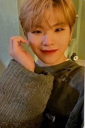 Selfie Photocards