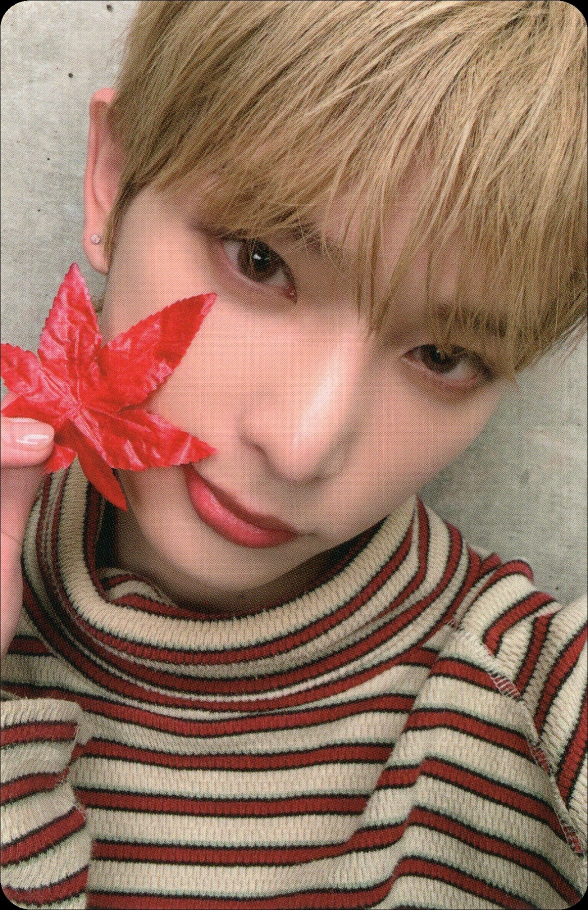 Photocard