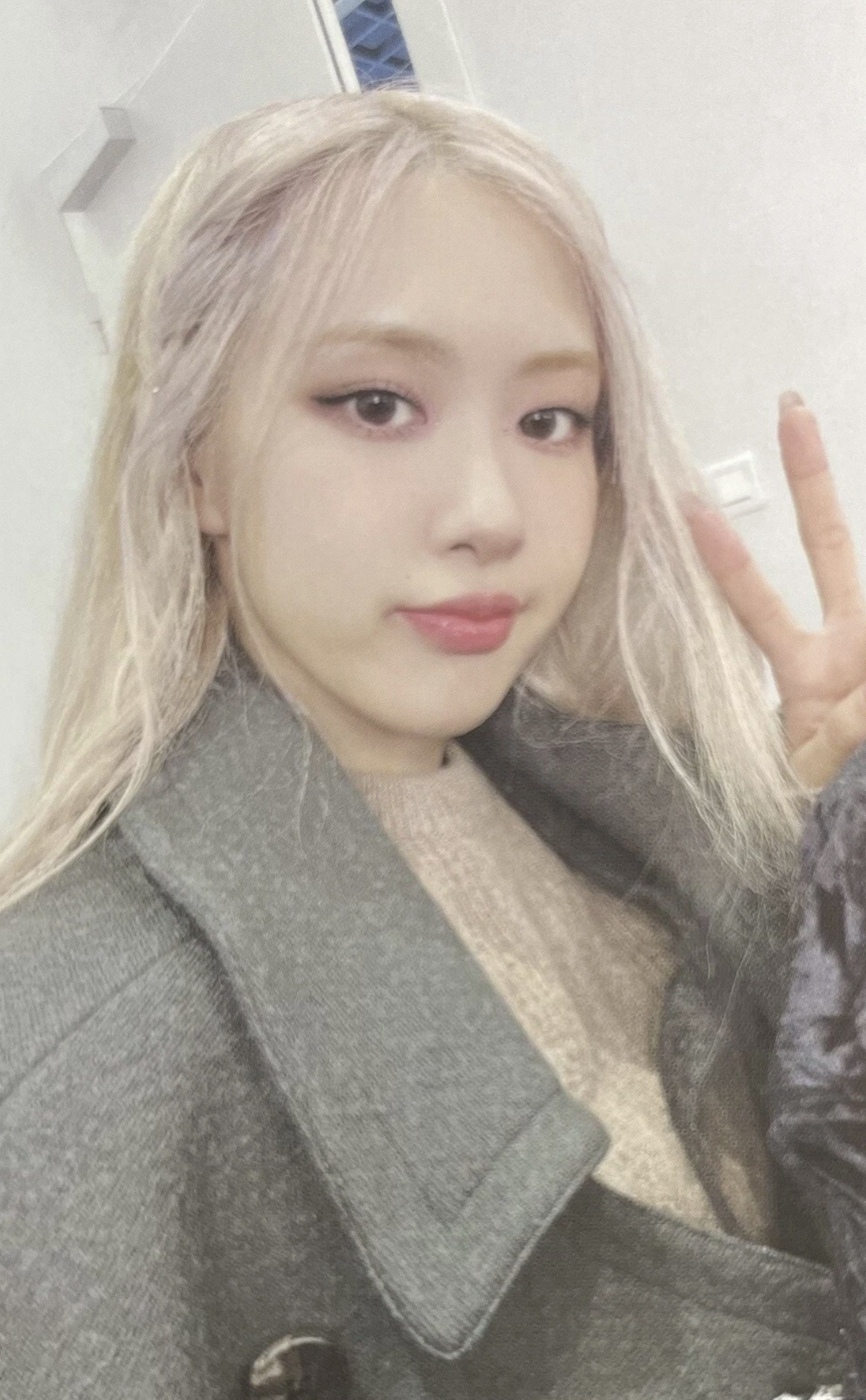 Rosé