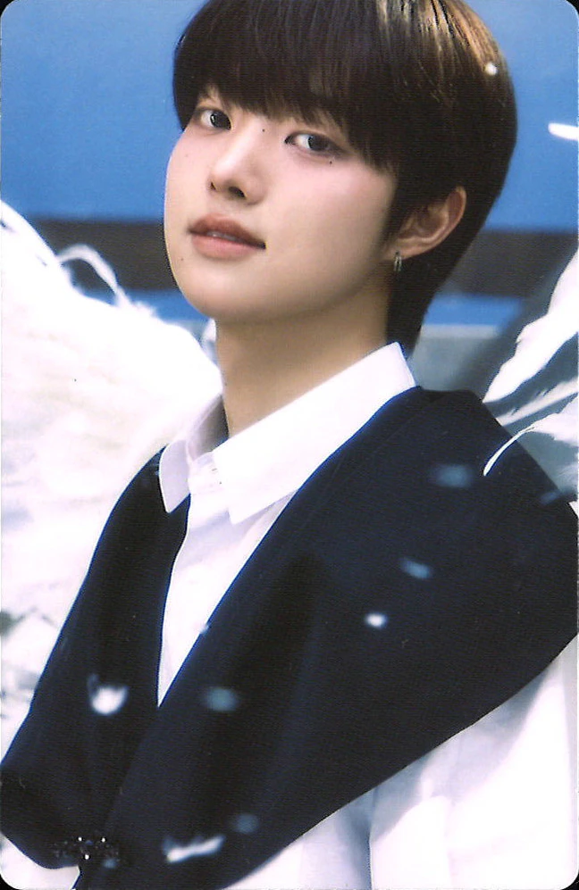 Official MD Pop-Up Photocard Set B