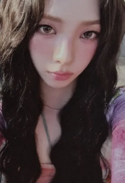 Official MD Trading Card Set B