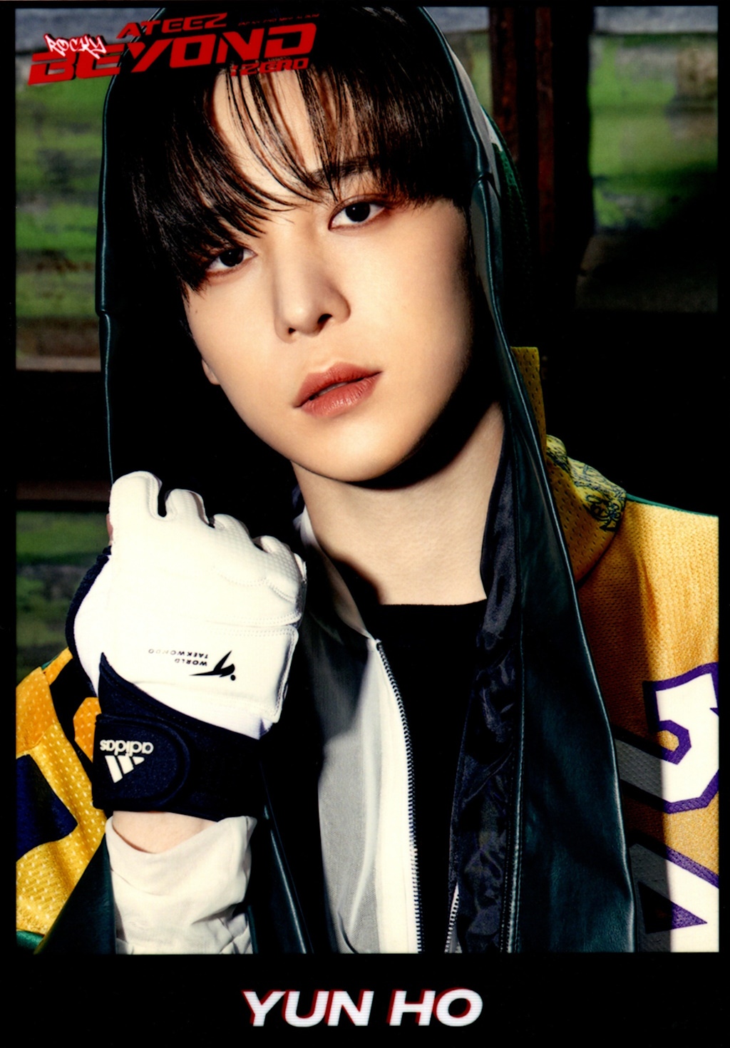 Tower Records 1.0 Preorder Bromide