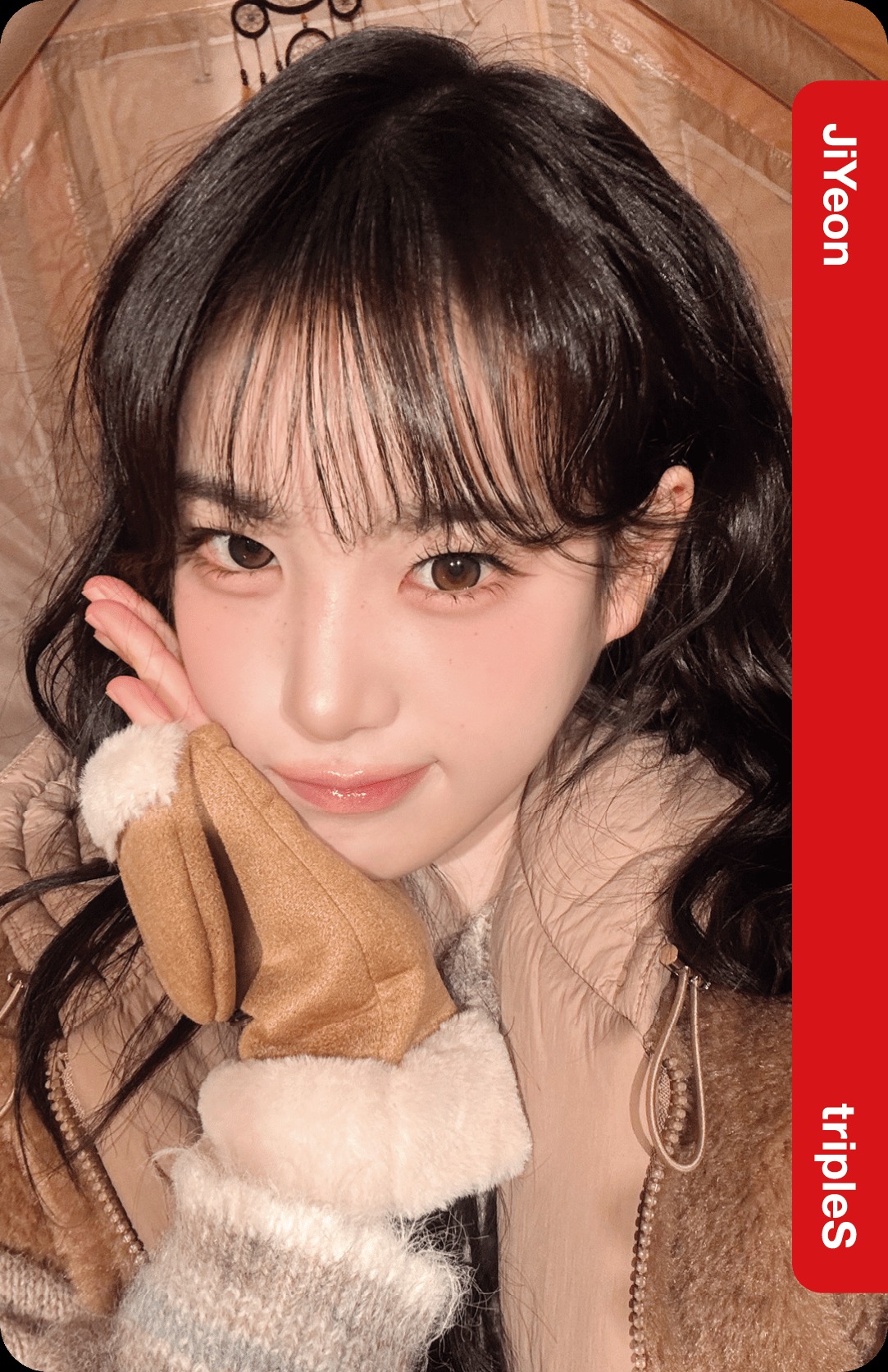 Lotte Home Shopping Collab Double Class Objekt - Selfie Version