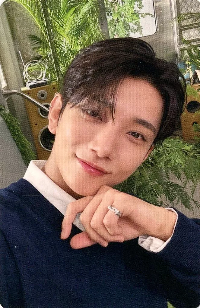Joshua SEVENTEEN photocard from Selfie Photocard B