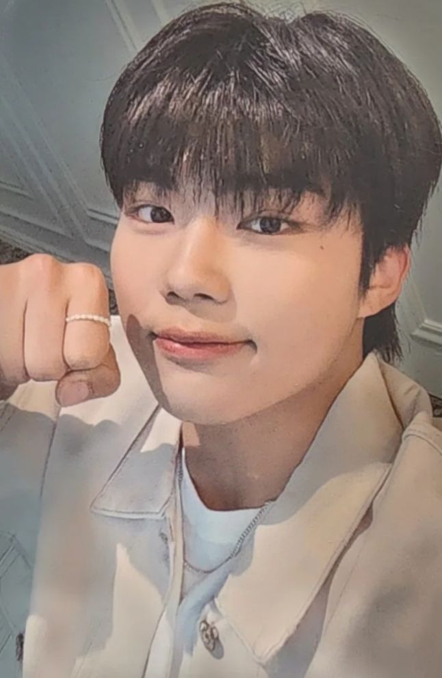 Everline 1.0 Artbook Ver. LD