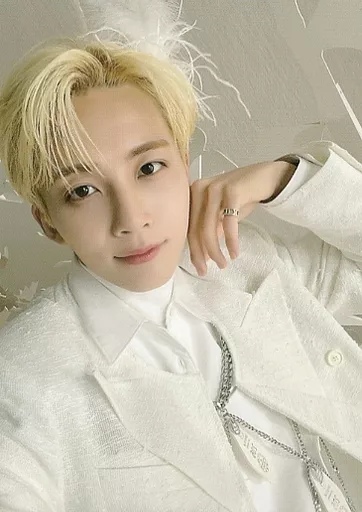 Jeonghan SEVENTEEN photocard from Trading Cards