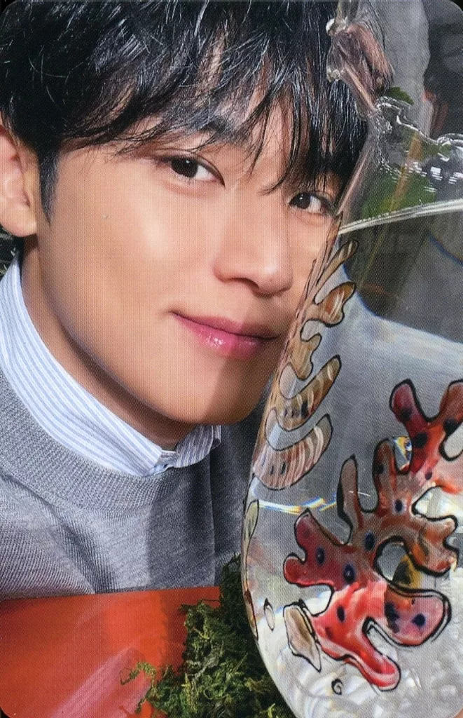 Mingyu SEVENTEEN photocard - 消費期限 Selfie Photocard B