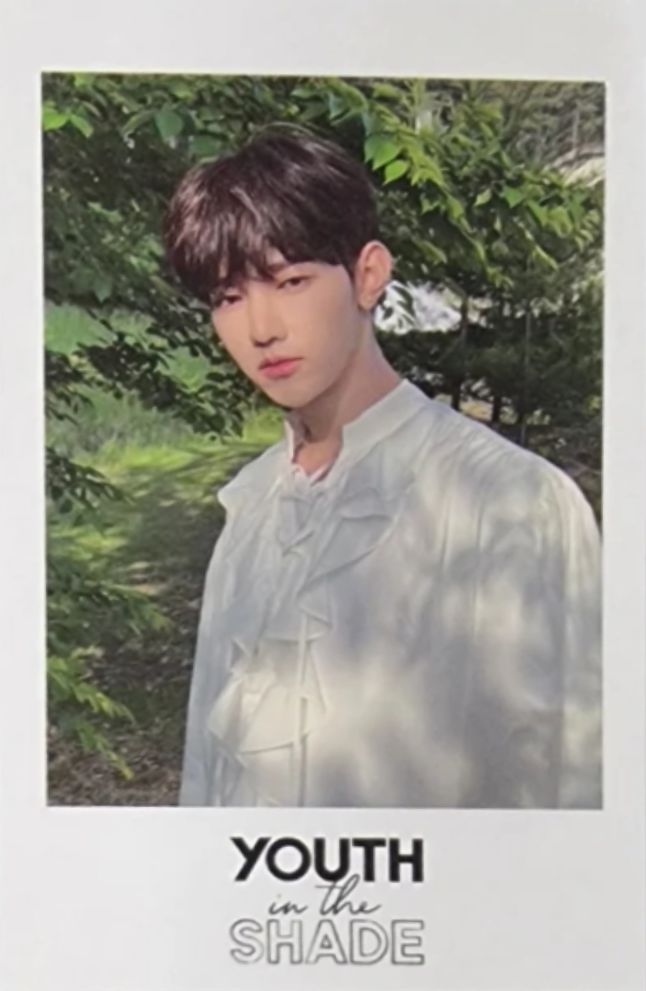 Everline 1.0 Polaroid LD