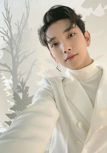 Joshua SEVENTEEN photocard from Trading Cards