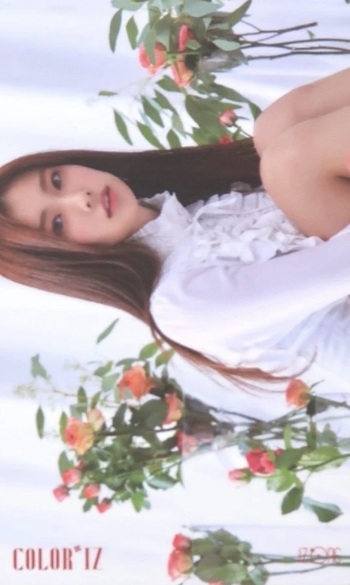 Rose Version Photocard