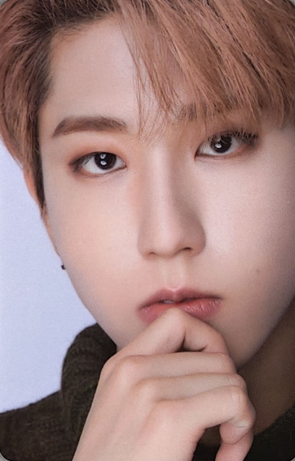 Dicon D'Festa Photocard