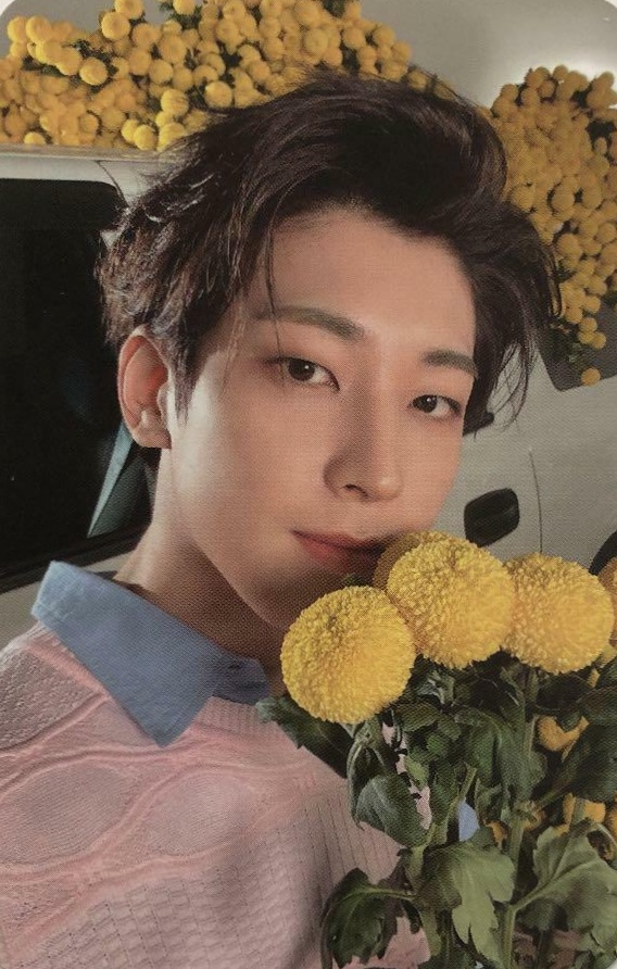 Photocards