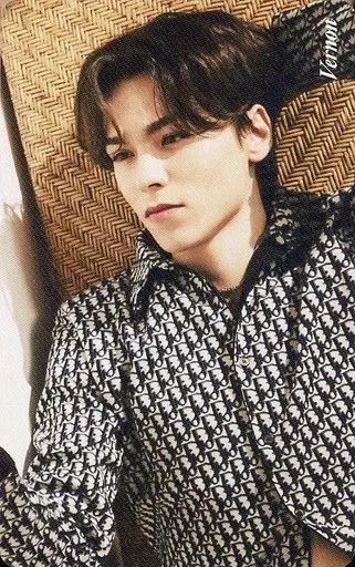 Vernon SEVENTEEN photocard from Preorder Benefit