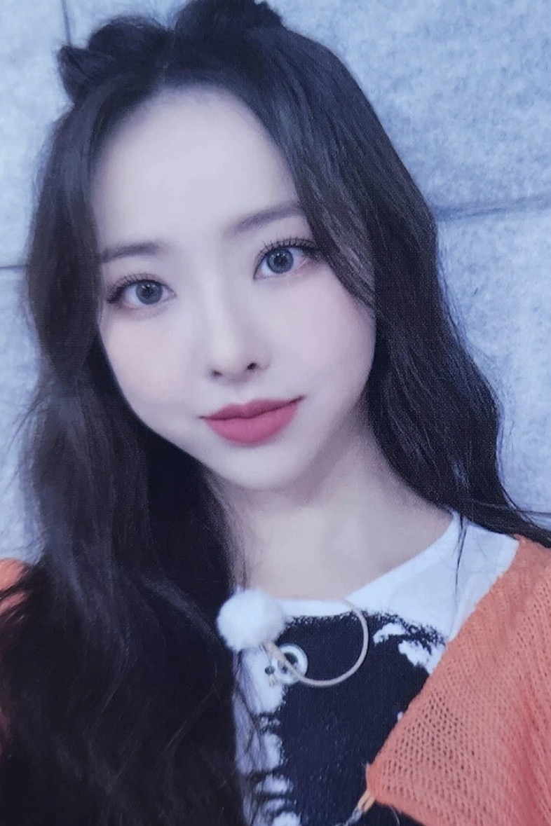 LOONATHEWORLD 1st World Tour Trading Cards