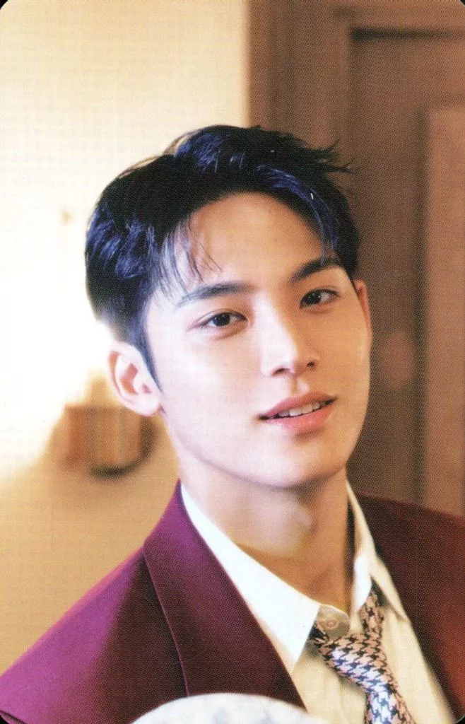 Mingyu SEVENTEEN photocard - SPILL THE FEELS Booklet (Random Member set)