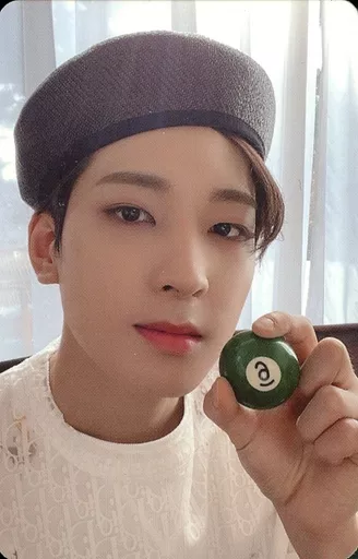 Wonwoo SEVENTEEN photocard - Your Choice