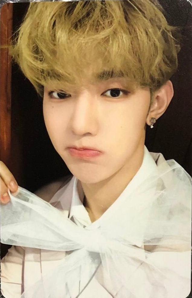 Fancon Japan Trading Cards